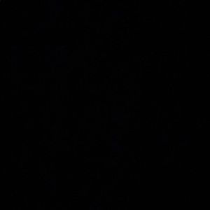 Meet your Posher, Alondra